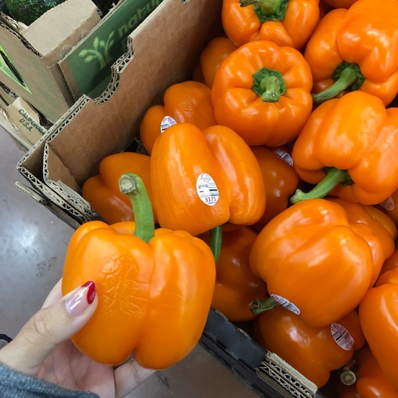 Meet your Posher, Priscilla - Picture 1 of 1